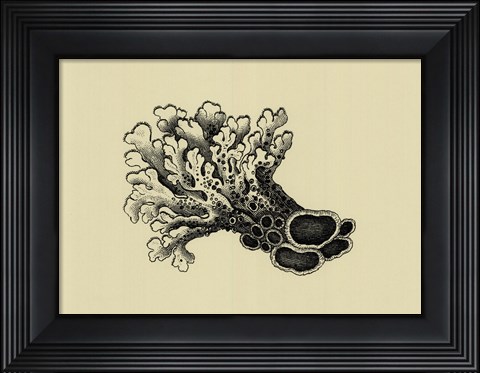 Framed Coral On Khaki II Print