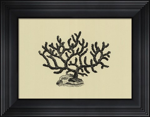 Framed Coral On Khaki III Print