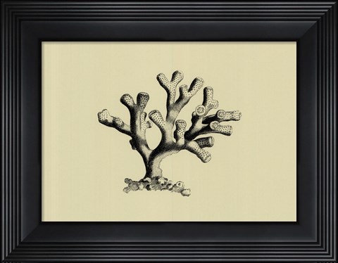 Framed Coral On Khaki IV Print