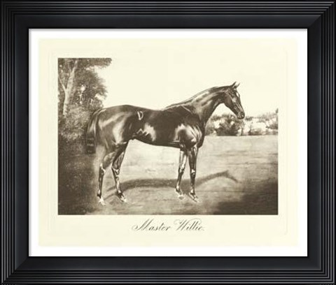 Framed Master Willie Print