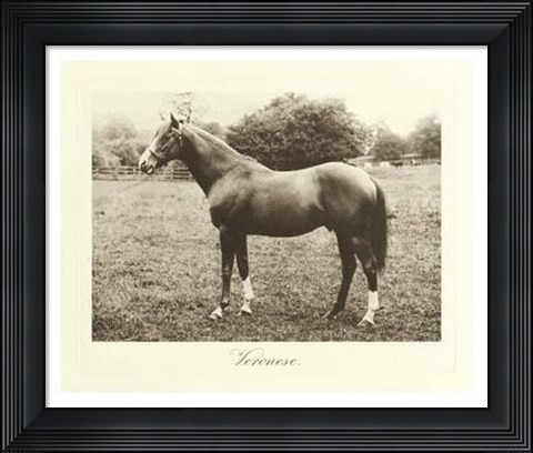 Framed Veronese Print