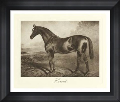 Framed Hermit Print