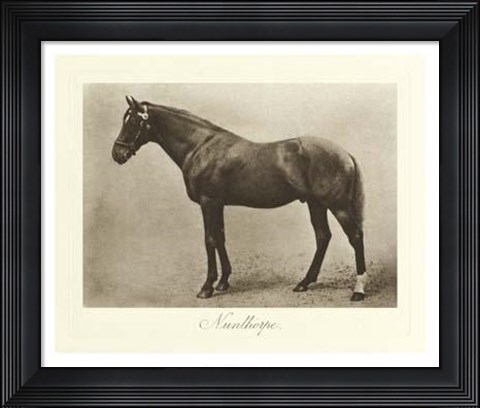 Framed Nunthorpe Print