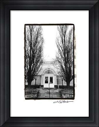 Framed Conservatory I Print