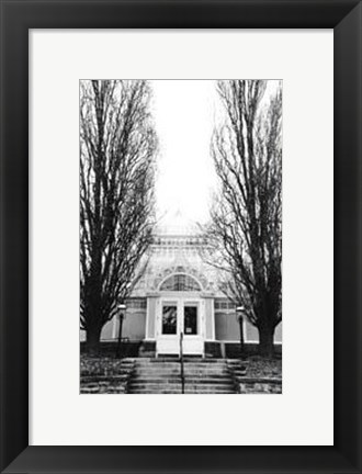 Framed Conservatory I Print