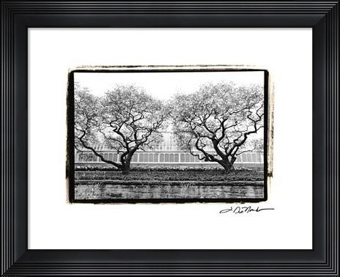 Framed Conservatory II Print