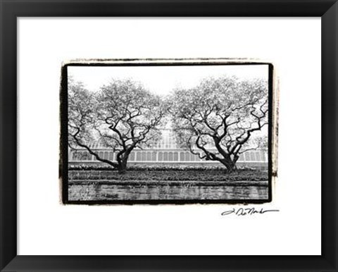 Framed Conservatory II Print