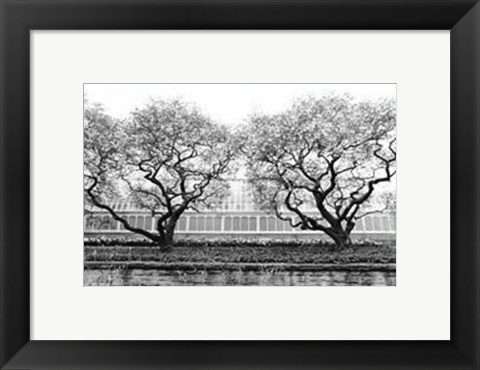 Framed Conservatory II Print