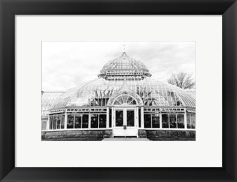 Framed Conservatory III Print