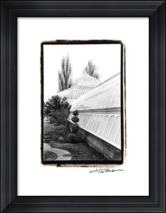 Framed Conservatory IV Print