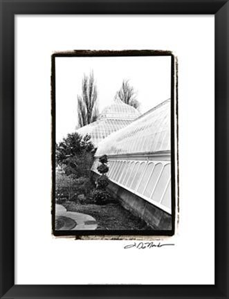 Framed Conservatory IV Print