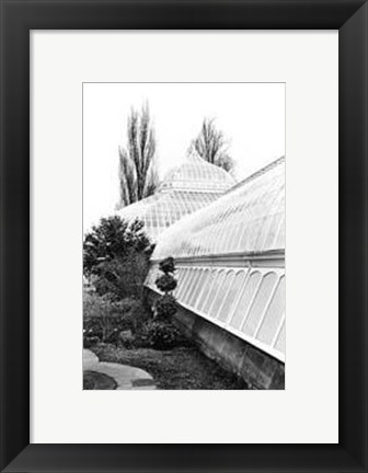 Framed Conservatory IV Print
