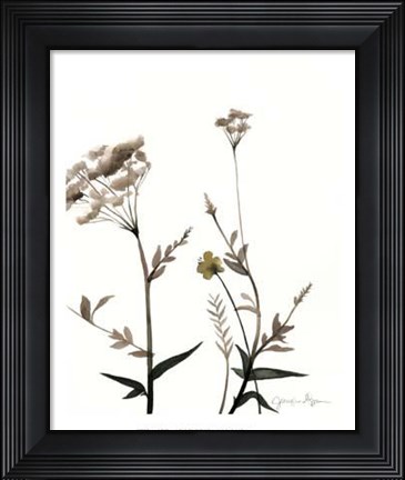 Framed Watermark Wildflowers I Print