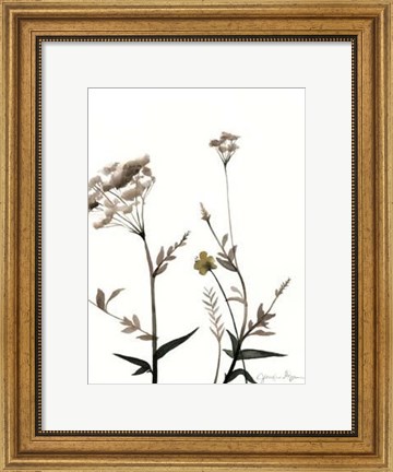 Framed Watermark Wildflowers I Print