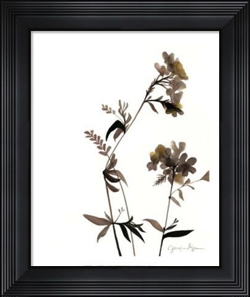 Framed Watermark Wildflowers II Print