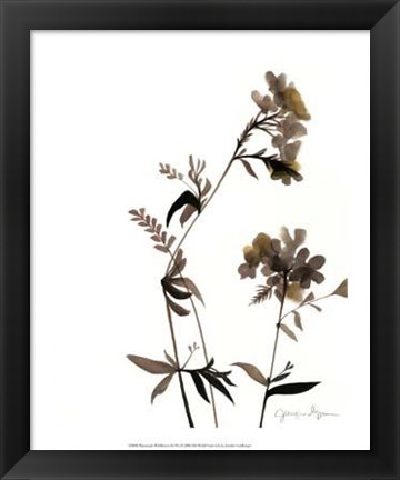 Framed Watermark Wildflowers II Print