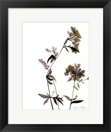 Framed Watermark Wildflowers II Print
