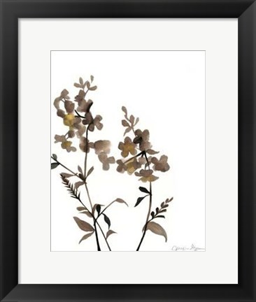 Framed Watermark Wildflowers IV Print