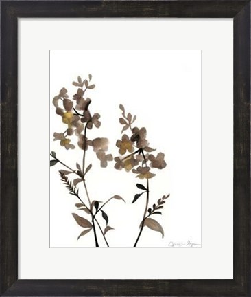 Framed Watermark Wildflowers IV Print