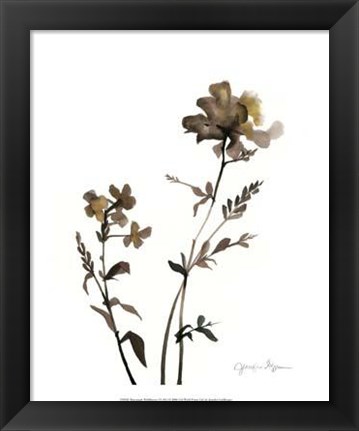 Framed Watermark Wildflowers VI Print