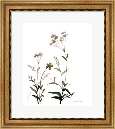 Framed Watermark Wildflowers VII Print