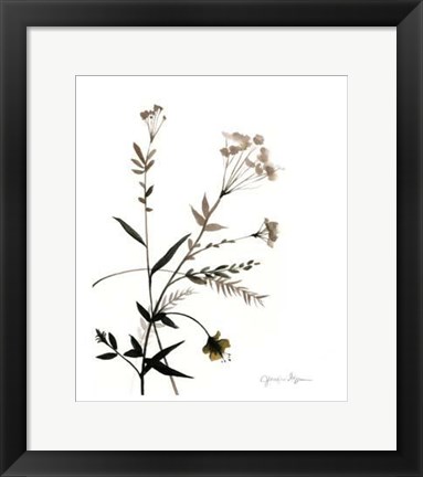 Framed Watermark Wildflowers VIII Print