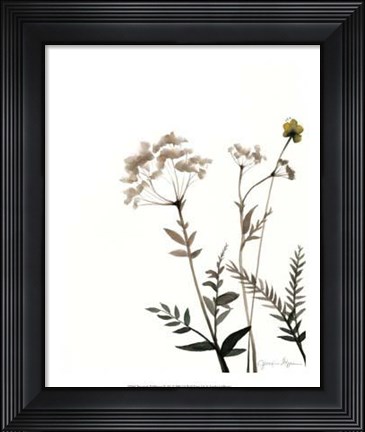 Framed Watermark Wildflowers IX Print