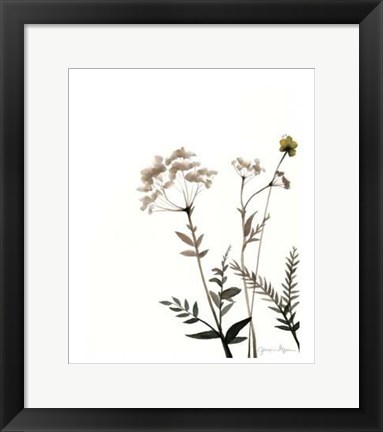 Framed Watermark Wildflowers IX Print