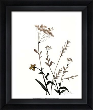 Framed Watermark Wildflowers X Print