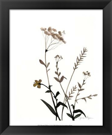 Framed Watermark Wildflowers X Print