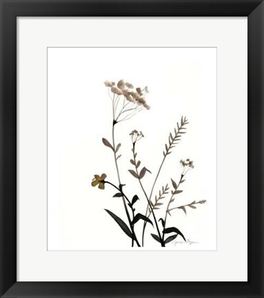 Framed Watermark Wildflowers X Print