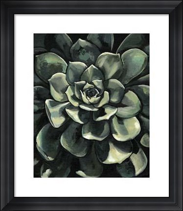 Framed Lunar Succulent I Print