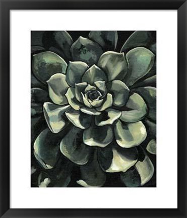 Framed Lunar Succulent I Print