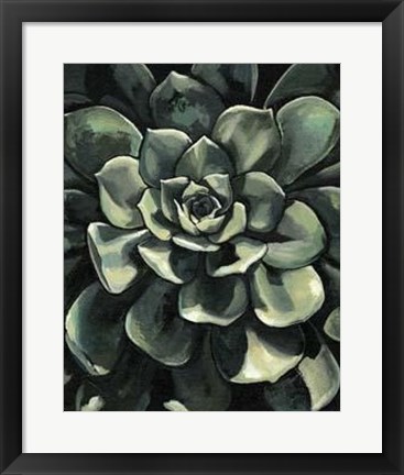 Framed Lunar Succulent I Print