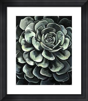 Framed Lunar Succulent II Print