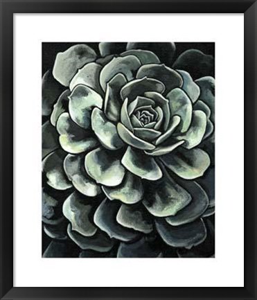 Framed Lunar Succulent II Print