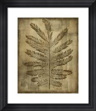 Framed Sepia Drenched Fern I Print