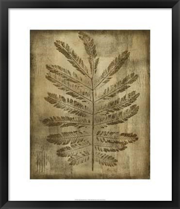 Framed Sepia Drenched Fern I Print