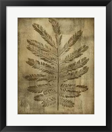 Framed Sepia Drenched Fern I Print