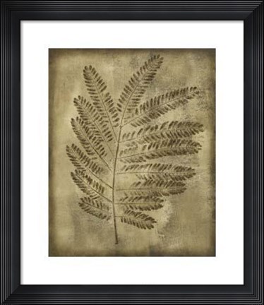 Framed Sepia Drenched Fern II Print