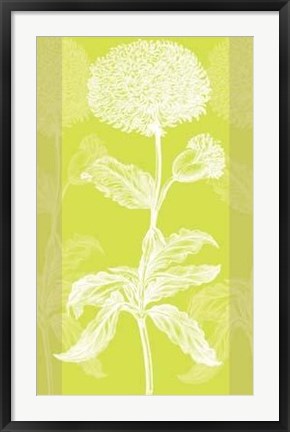 Framed Efflorescence I Print