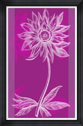 Framed Efflorescence III Print