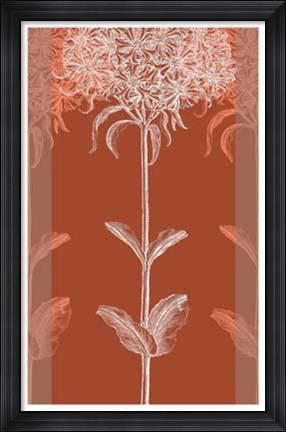 Framed Efflorescence IV Print