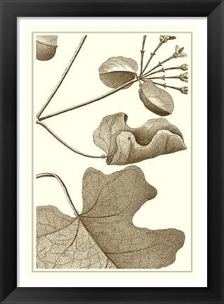 Framed Cropped Sepia Botanical I Print