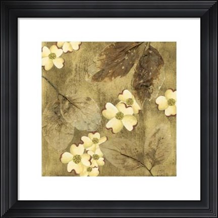 Framed Sun-Kissed Dogwoods II Print