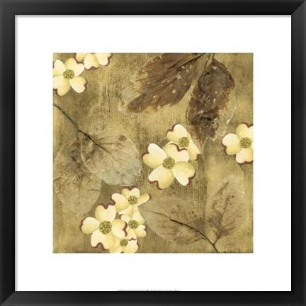 Framed Sun-Kissed Dogwoods II Print