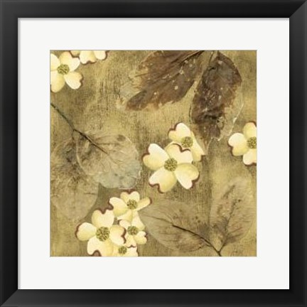 Framed Sun-Kissed Dogwoods II Print