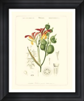 Framed Lush Tropical I Print