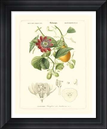 Framed Lush Tropical II Print