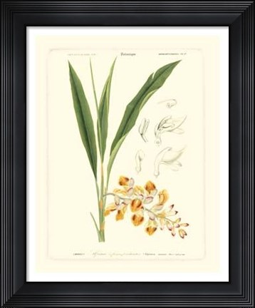 Framed Lush Tropical III Print